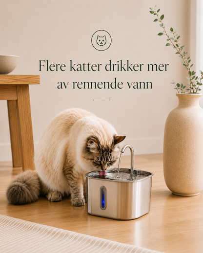Smart Stainless Steel Pet Water Fountain 2.2L