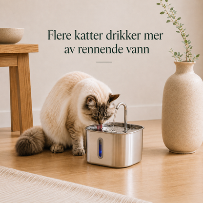Savonta Drikkefontene 2,2L